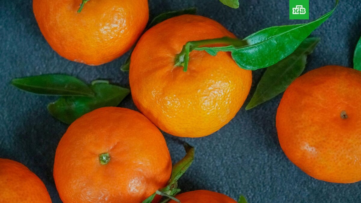    Фото: Karolina Kolodziejczak / unsplash.com