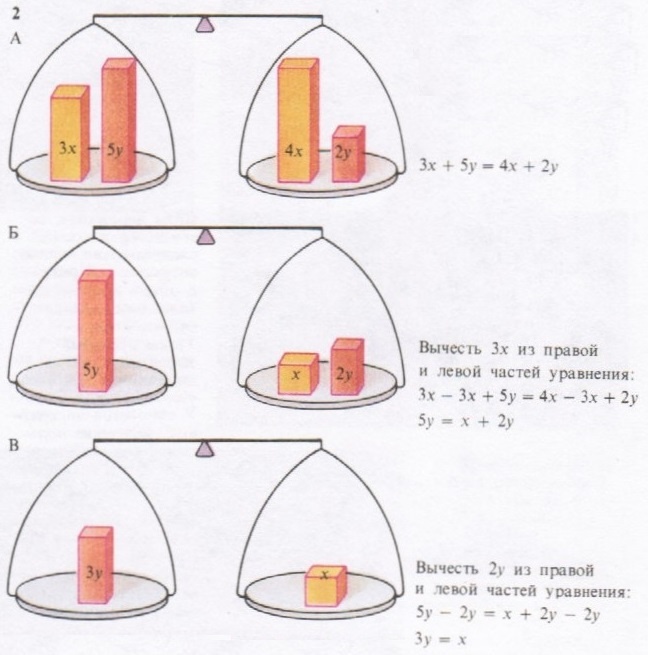 Уравнение в алгебре это «весы» с уравновешенными чашами. Все члены левой части уравнения вместе равны всем членам правой, как вес предметов на одной чаше уравновешенных весов равен весу предметов на другой чаше (А). При упрощении уравнения над его правой и левой частями должны производиться одни и те же операции. Например, из каждой части уравнения можно вычесть по Зх (Б). Вычтя из каждой части по у, мы еще более упростим уравнение (В). После этих преобразований исходное уравнение Зх + 5у = 4х + 2у сведется к Зу = х. Обе части уравнения можно умножать и делить на одно и то же число.