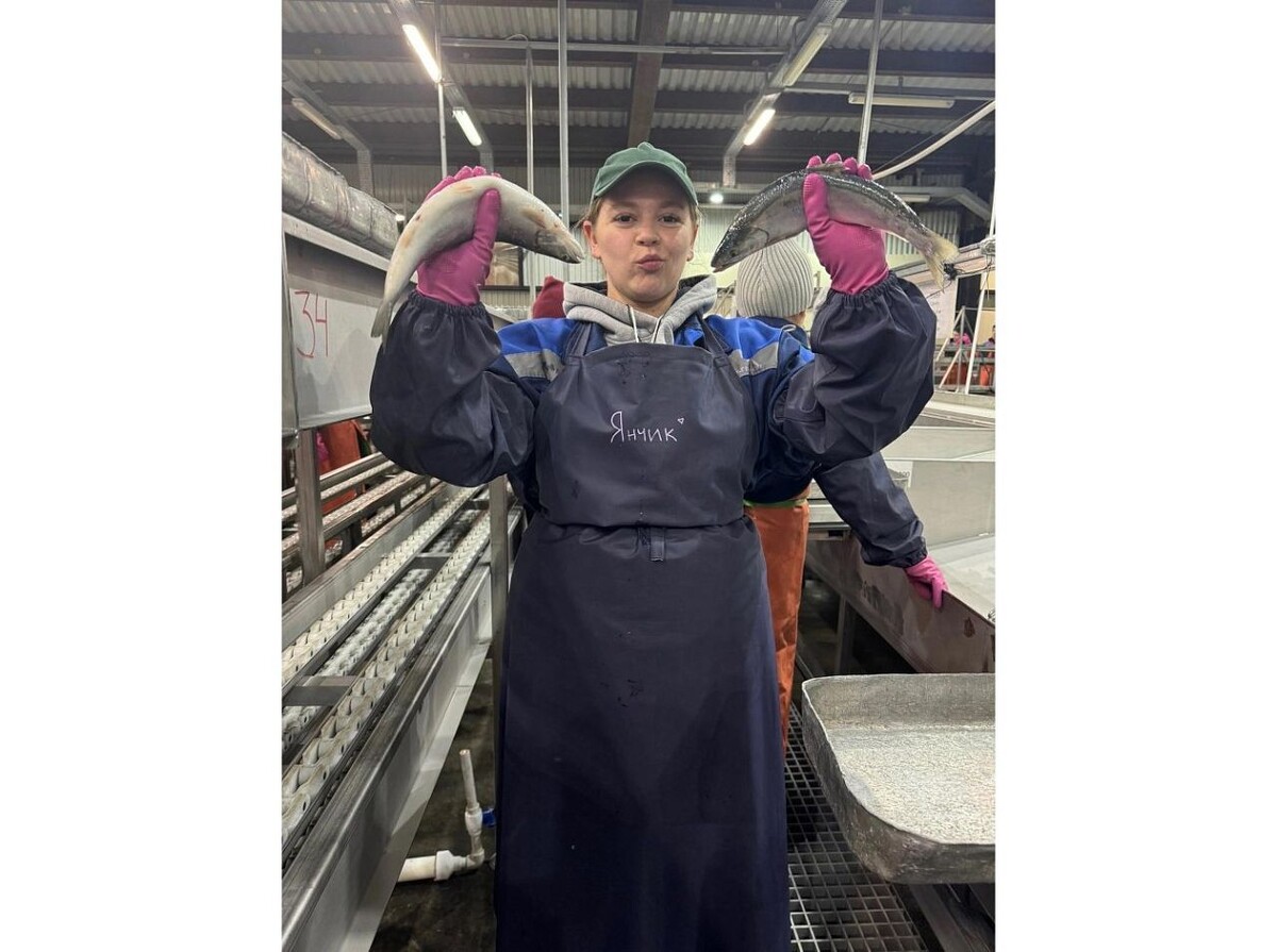    Рассказываем, как отработали югорские стройотрядовцы целину 2024