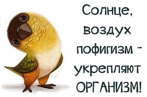 Картинка с интернета. https://ru.pinterest.com/pin/879468633465113770/