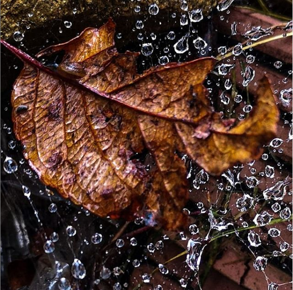 Автор фото: Alisa__Lizunova.