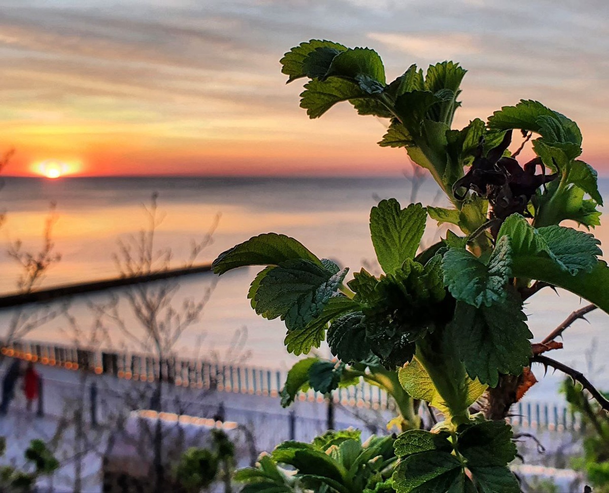 Одно фото - много смысла.