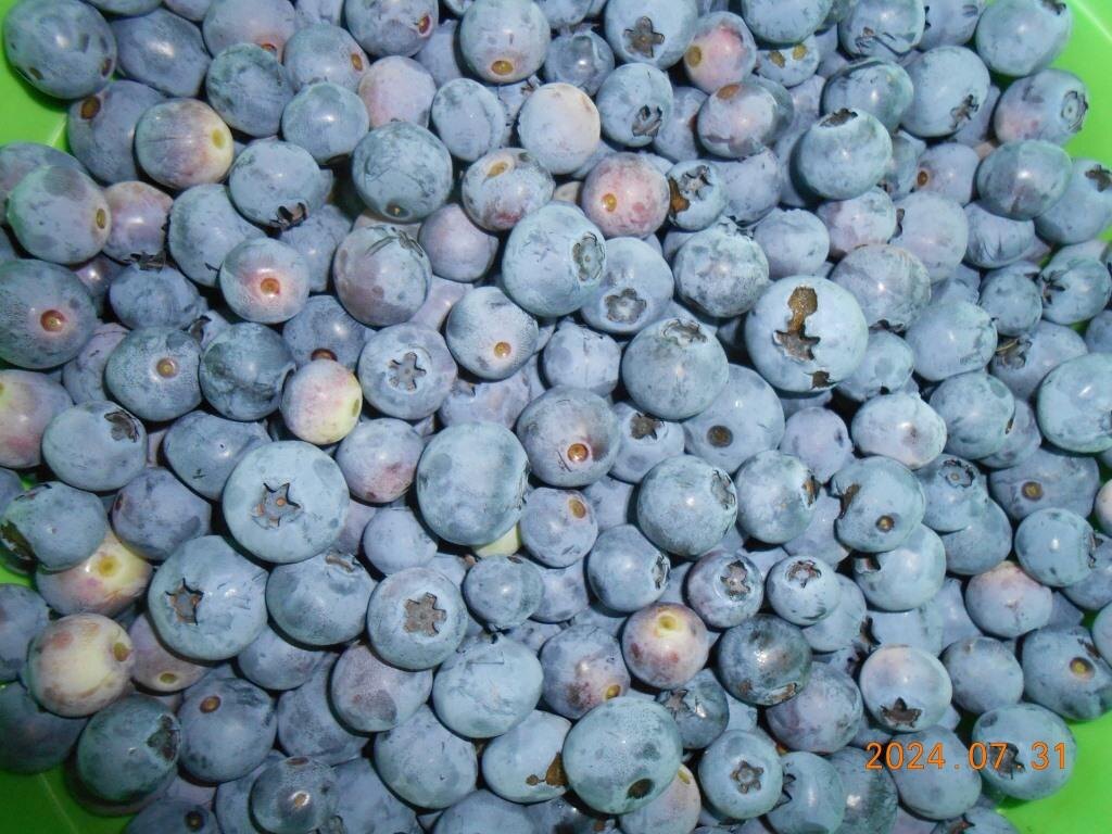 Все фото мои.