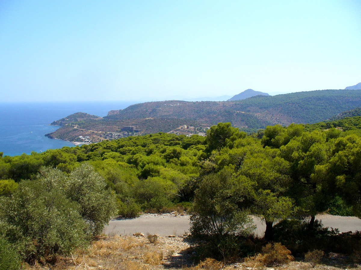 Эгина. Фото автора
