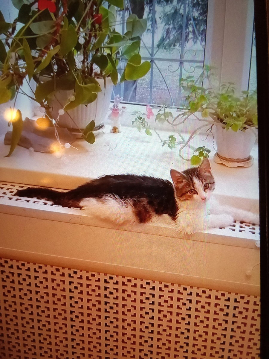 Фото: Главное управление ЗАГС Смоленской области