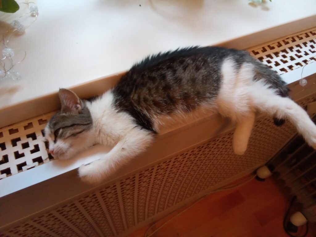 Фото: Главное управление ЗАГС Смоленской области