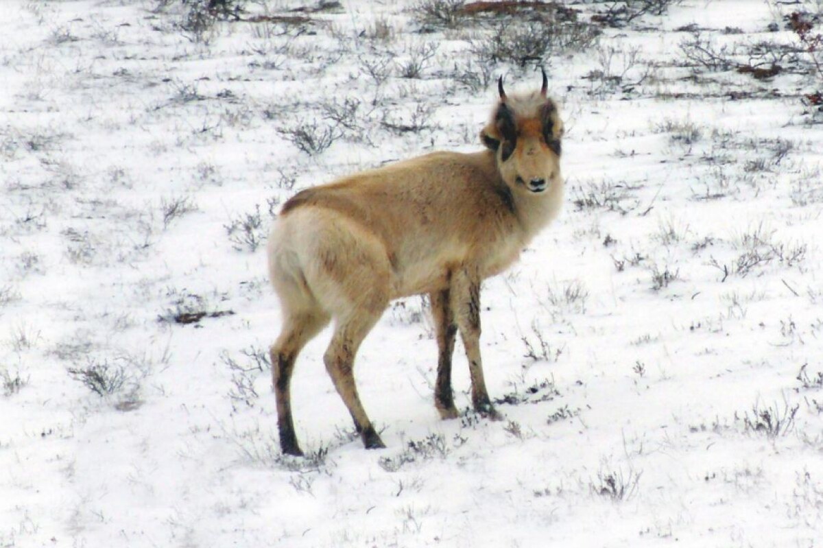 Фото: Управление пресс-службы и информации администрации Губернатора Астраханской области 