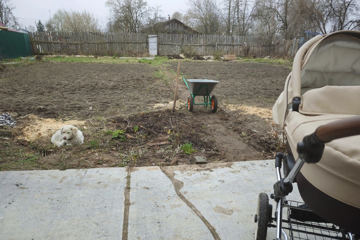 Унылый вид на наш участок в апреле