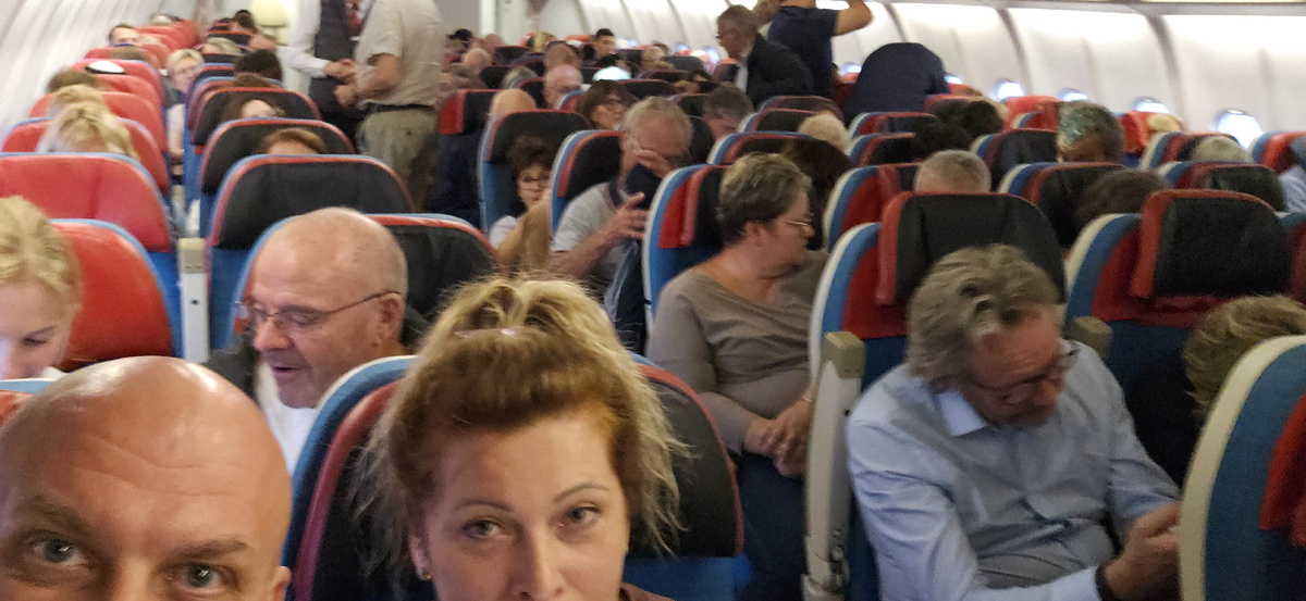 Добавьте описание