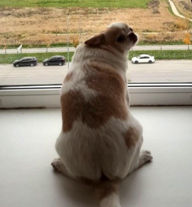 иллюстрация Юлии, автора канала Записки о Скизи.