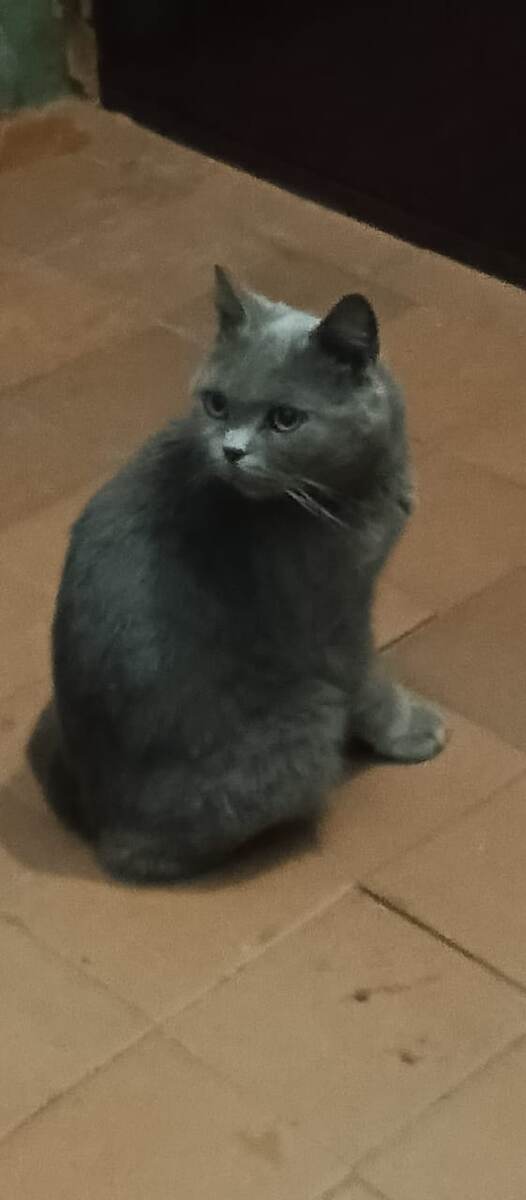 Внучка назвала её Маркизой