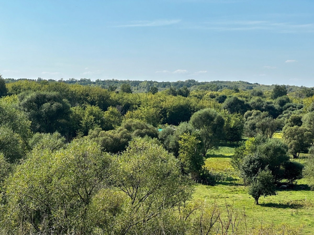 Тамбовский пейзаж. Фото Карины Сейдаметовой.