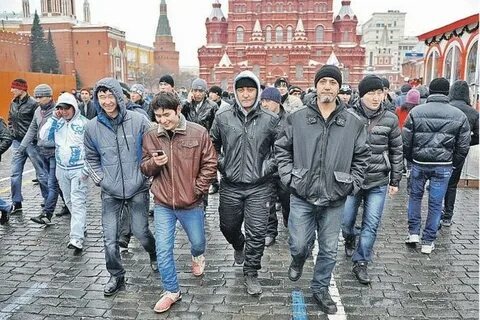 Фото из открытых источников 