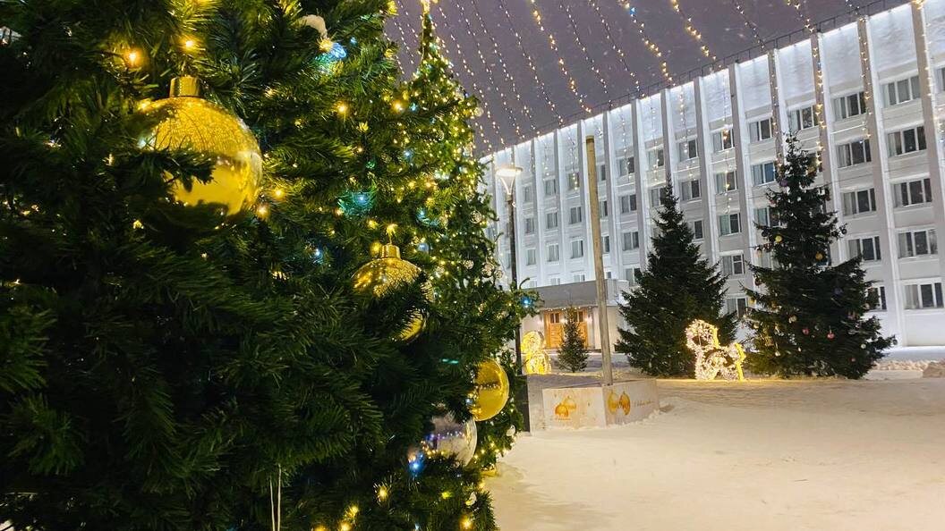    фото: Дарья Теремецкая/Царьград