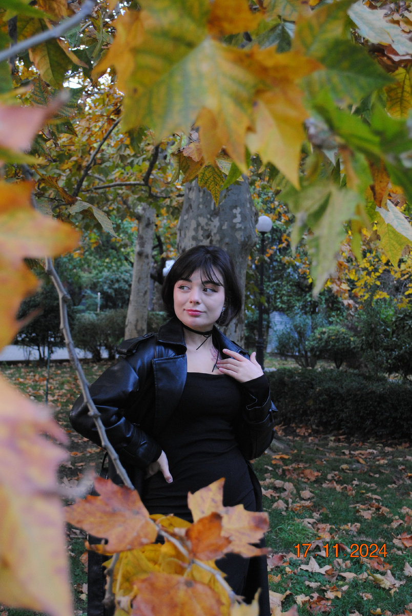 Фотография, которую я сделал 17.11.2024.