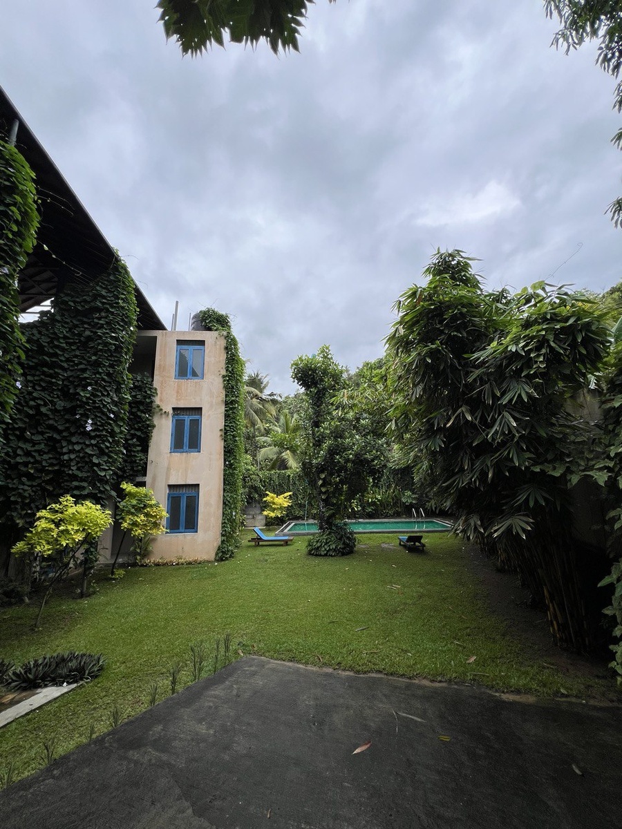 Отель Urcin Unawatuna окружён зеленью. Но с другой стороны идёт вялая стройка очередного гестхауса.