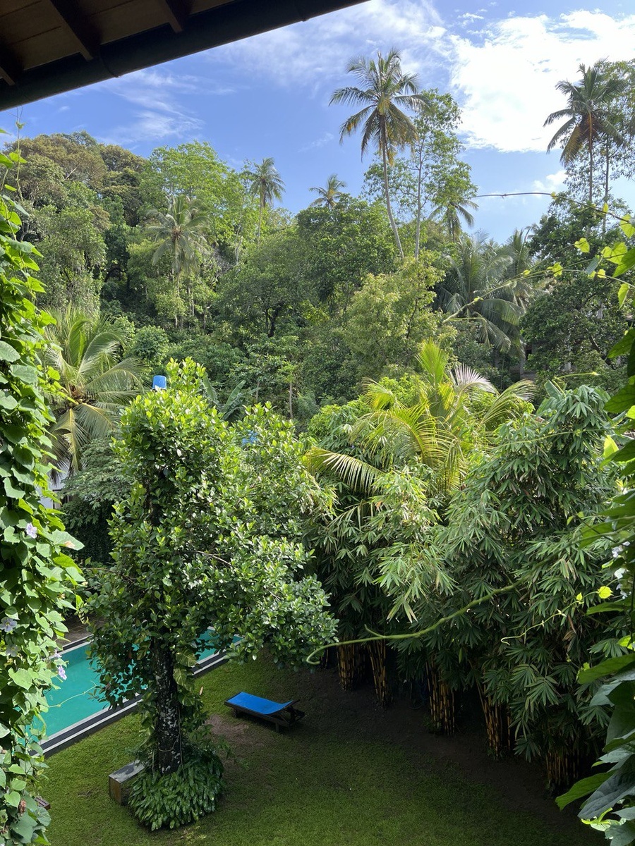 Очень много зелени и бассейн.