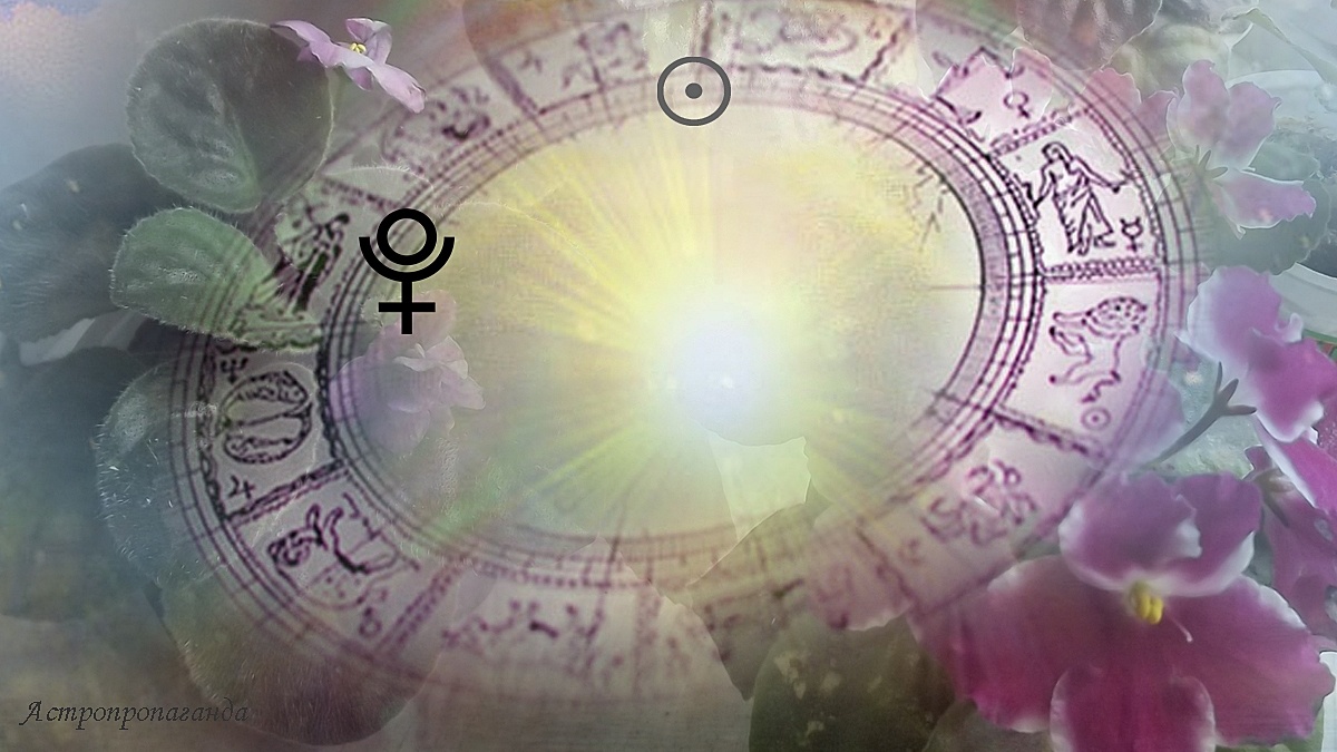 Недельный гороскоп с 18 по 24 ноября 2024: Солнце и Плутон меняют знаки. 