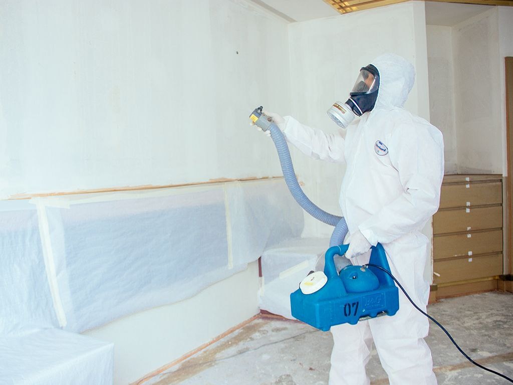 Уничтожение насекомых в Москве:Комплексный подход к борьбе с вредителями