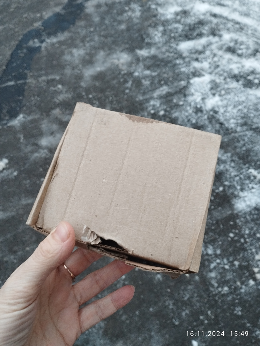 Последнее пристанище Снежинки