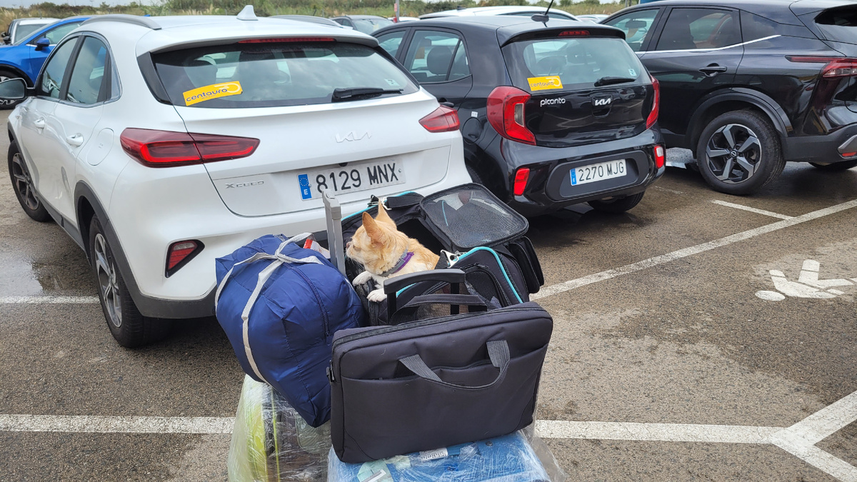 Картина, корзина, картонка