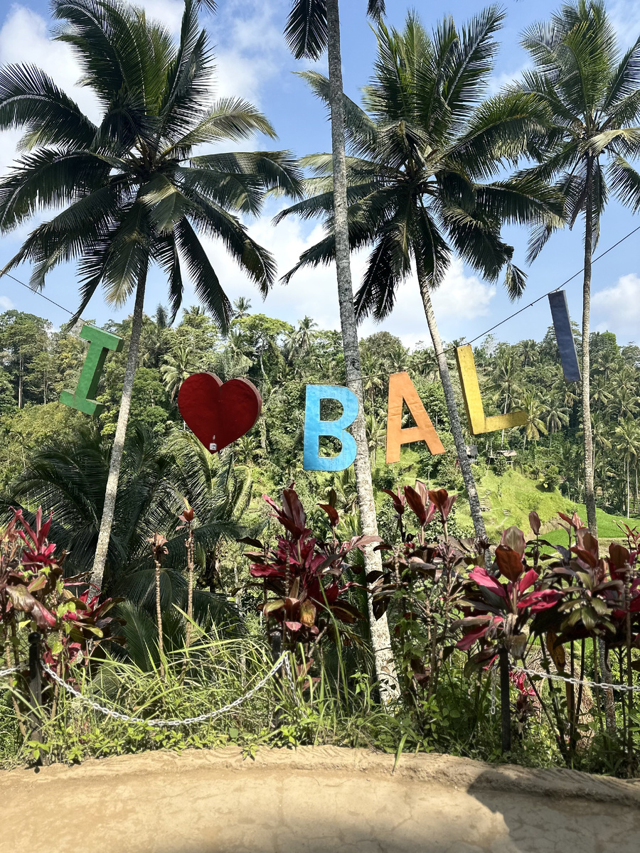 .Рисовые террасы Kedisan, Tegalalang, The Natural Terrace Rice, Кинтамани.