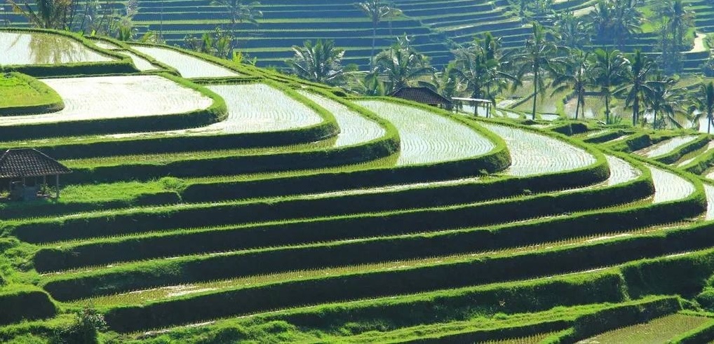 Террасы с водой.