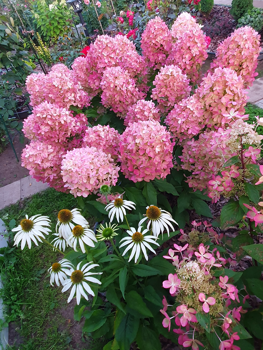 Сентябрь-24г. Граффити уже заиграла новыми красками.