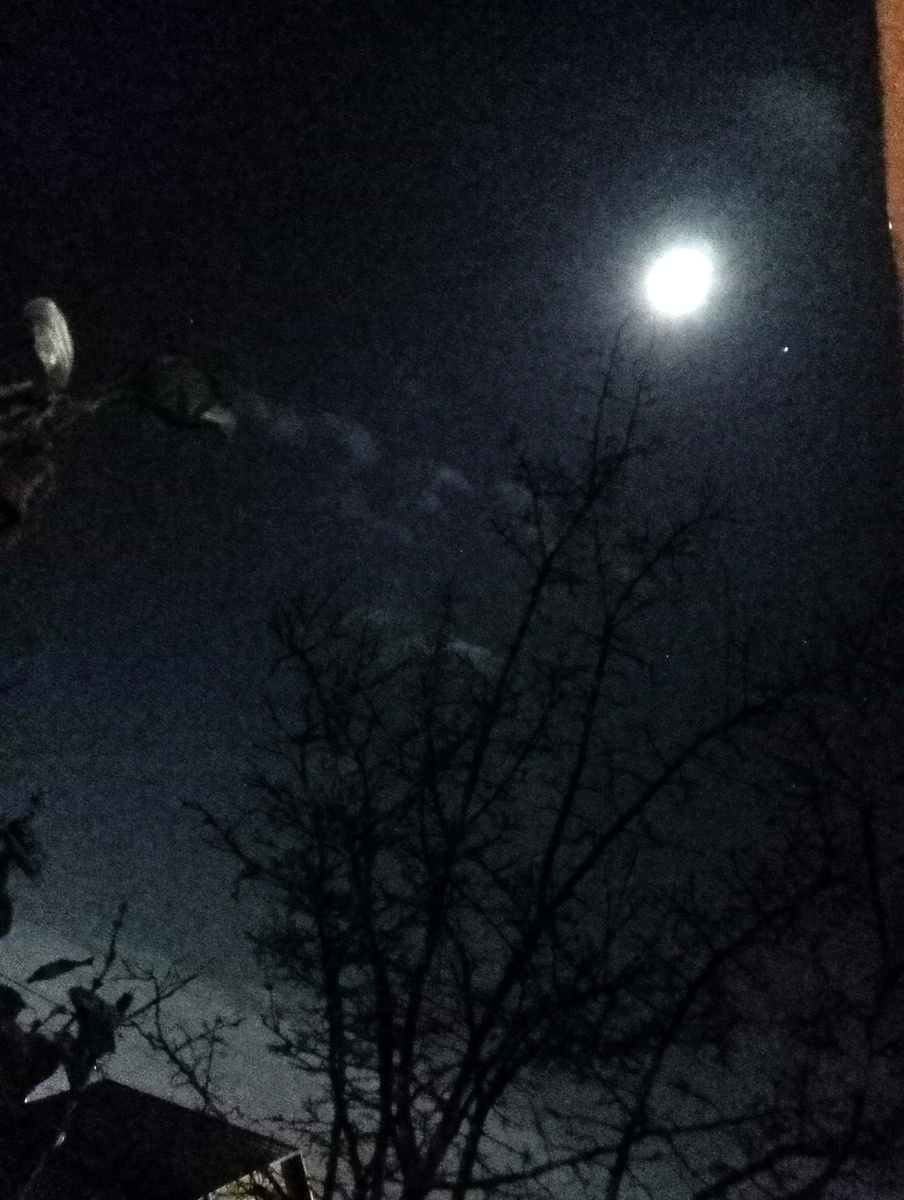 Звезда ниже Луны это Юпитер