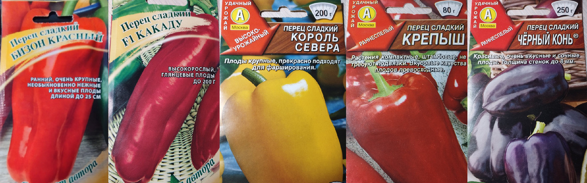 Сорта сладкого перца, высаженные в 2024 году