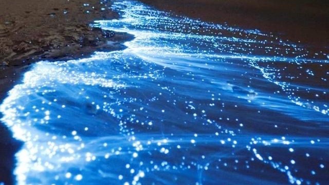 Побережье Мальдив 