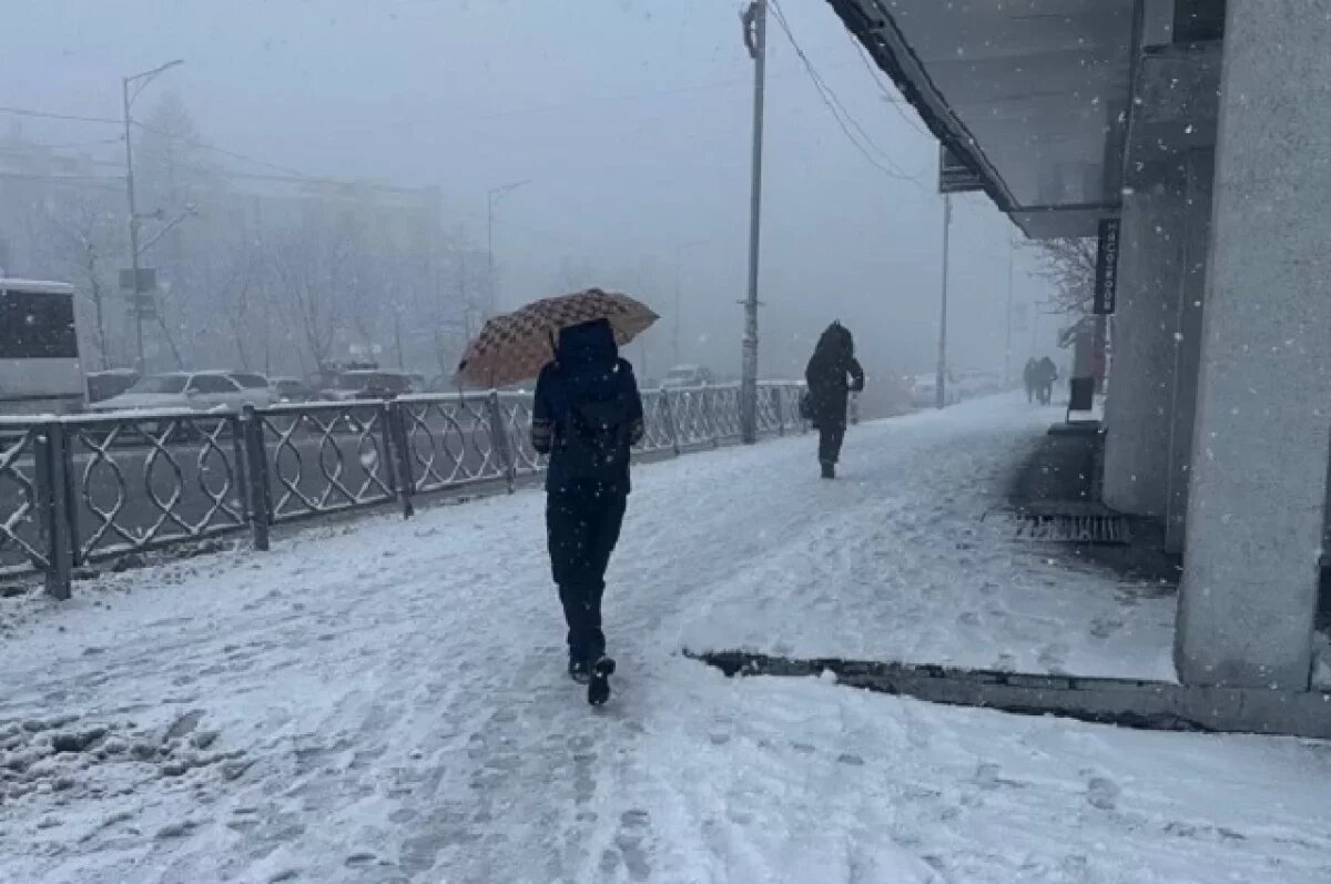    На Камчатке из-за циклона отменили паромы и занятия в школах