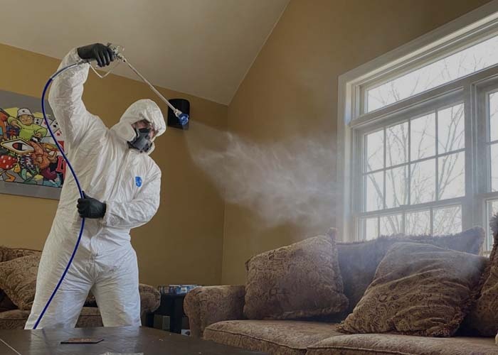 Как выбрать компанию для уничтожения клопов Видное