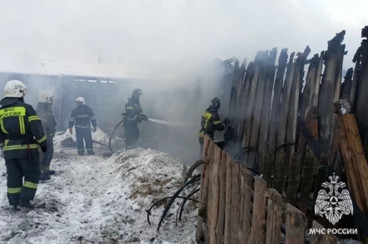    При пожаре в хлеву в томском селе погибли 20 кур, 6 коз и 2 кролика
