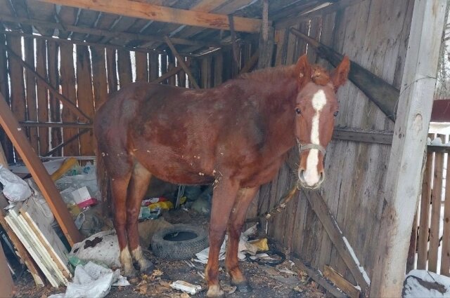    Фото: ГУ МЧС по Томской области