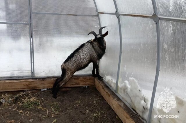    Фото: ГУ МЧС по Томской области