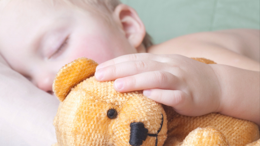    Фото: www.globallookpress.com/Vladimir Godnik