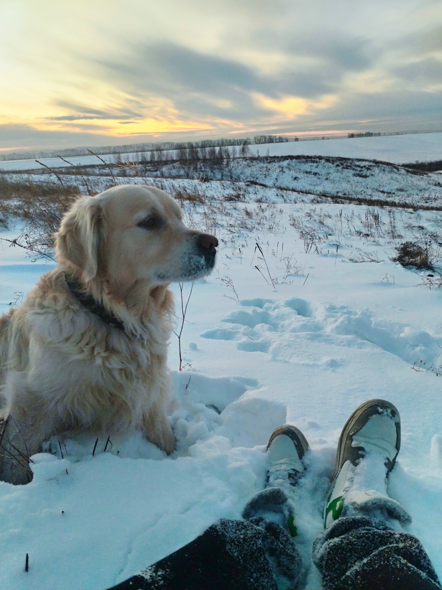 Валяемся в снегу.