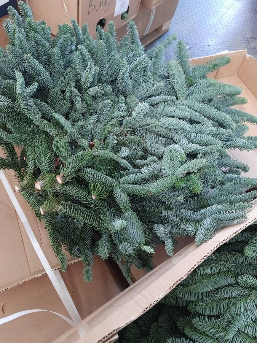    Источник фото: Приморское межрегиональное управление Россельхознадзора