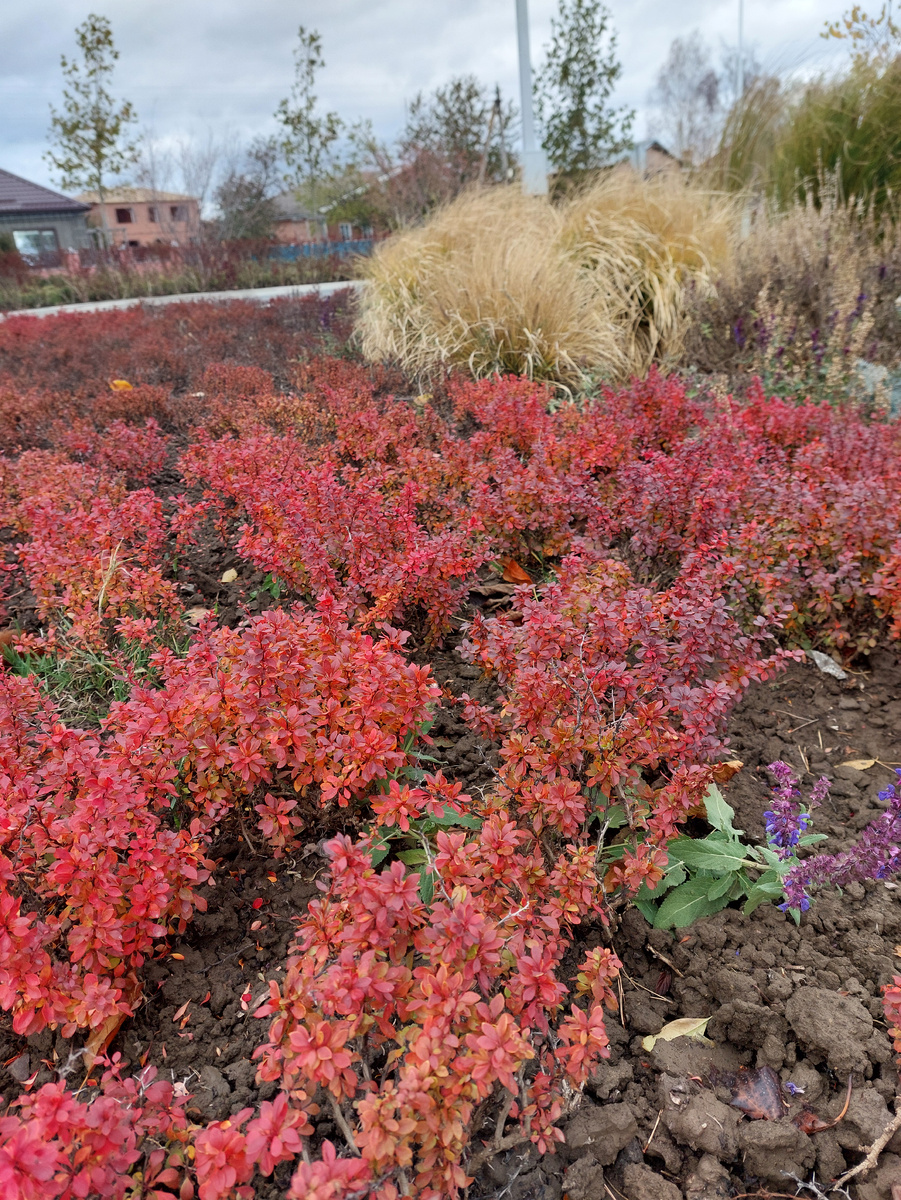 Фото автора осеннее вдохновение.