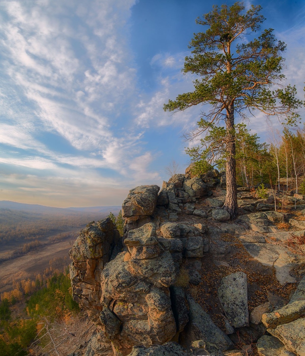 Фото из интернета 