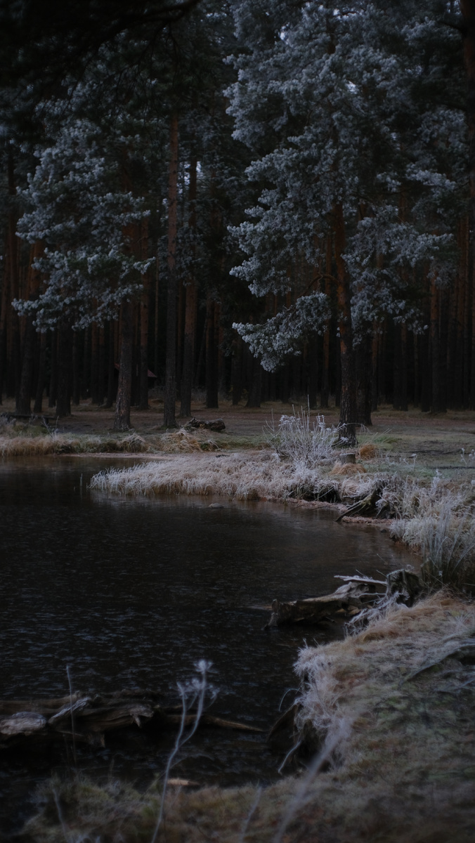 Фотографии от маркетолога по загородной недвижимости - estate.gorbunovb2b.ru.