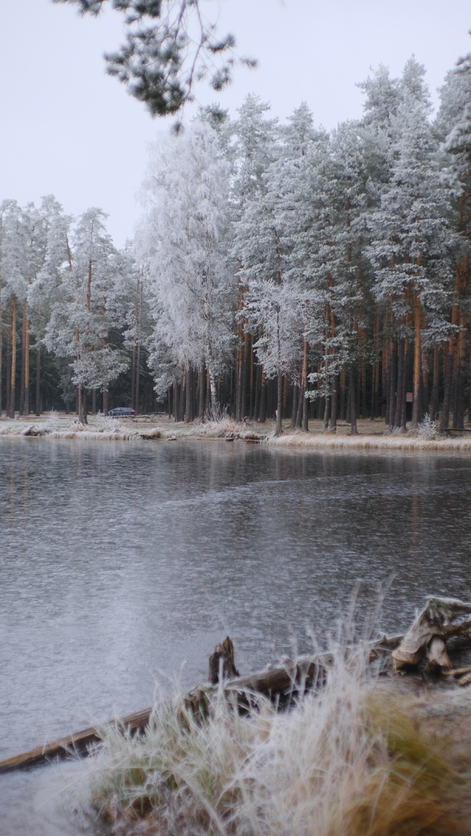 Фотографии от маркетолога по загородной недвижимости - estate.gorbunovb2b.ru.