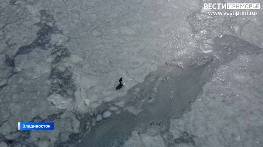    Источник фото: