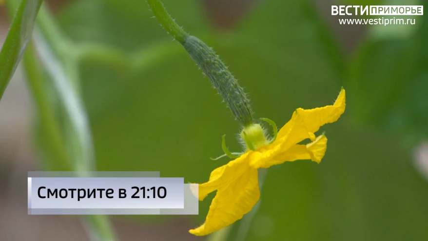    Источник фото: