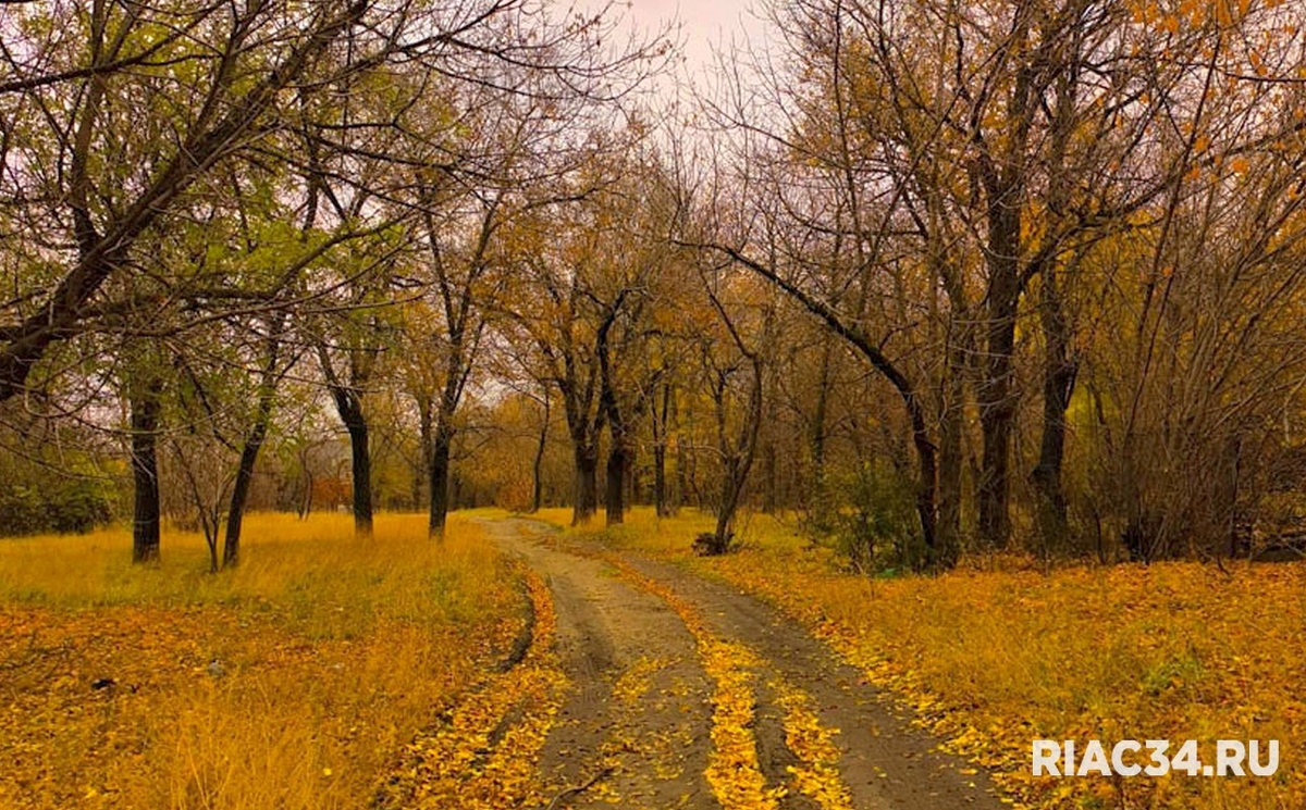 Фото: Илья Полетаев