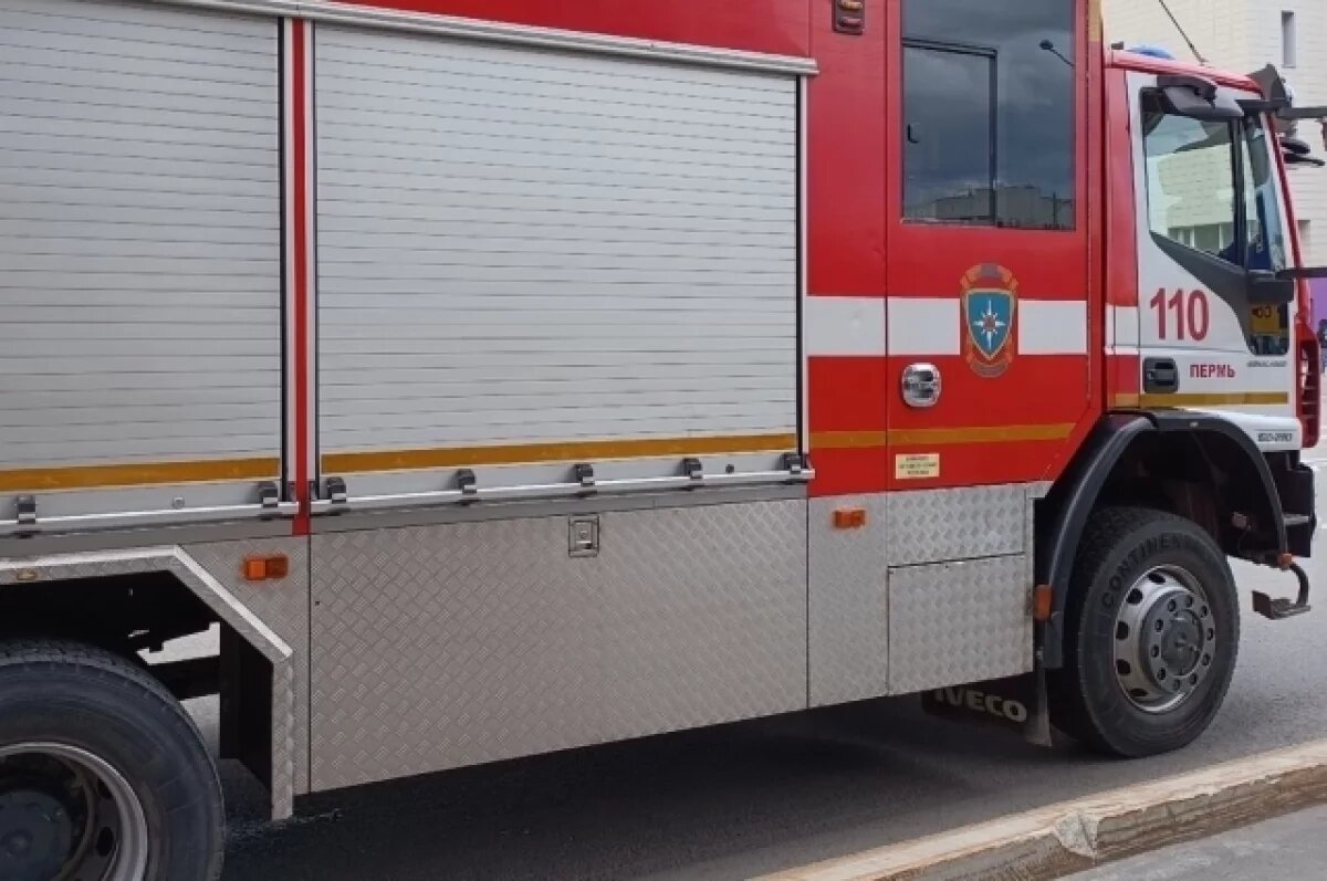    В Пермском крае во время пожара в квартире погибла женщина