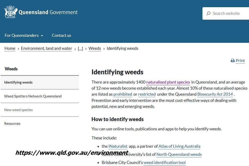 Скрин с государственного сайта