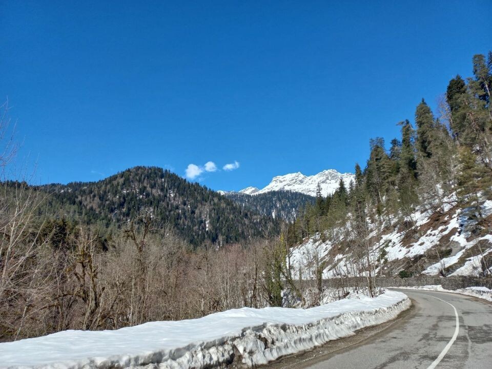    Абхазия. Источник: Олеся Веселкова/"Толк"