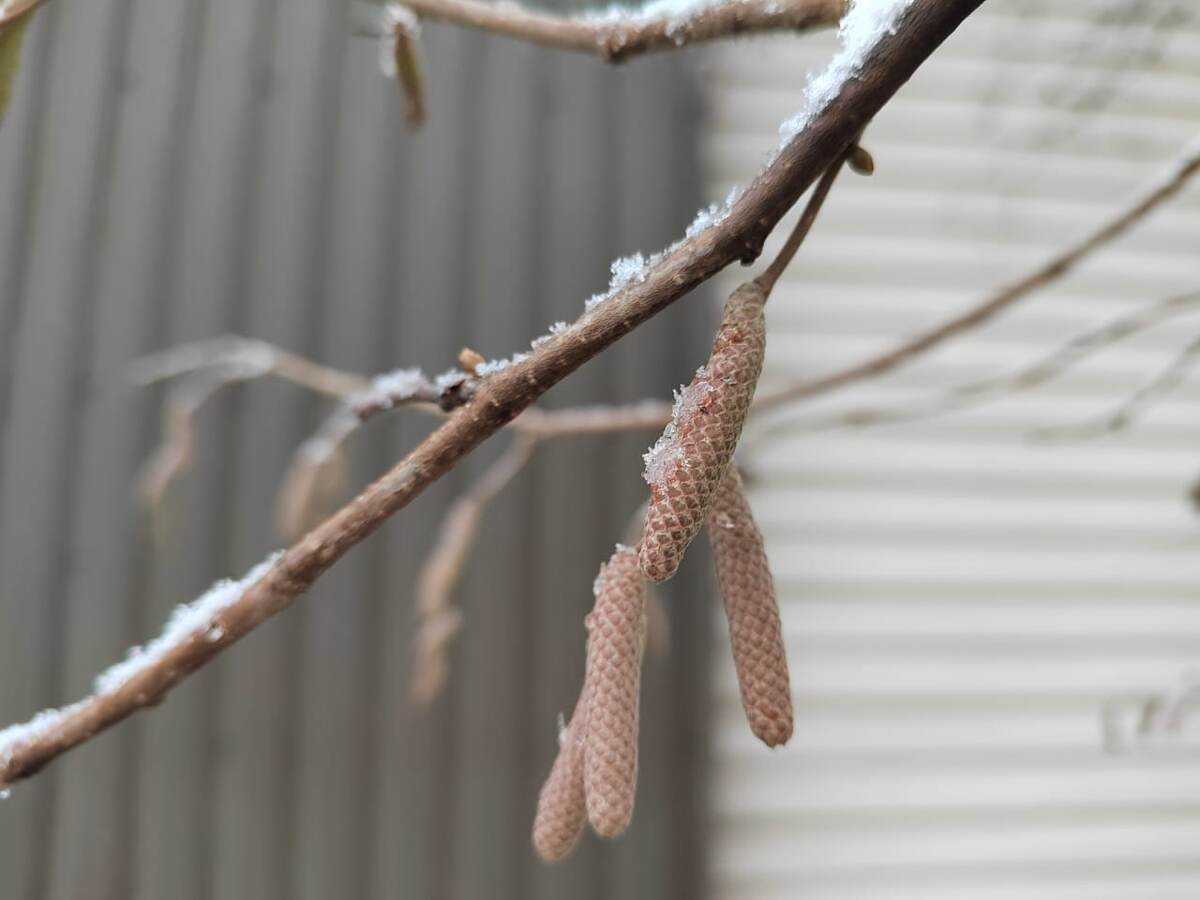 Фото автора канала. 